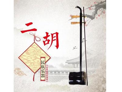 招聘鹰潭二胡家教老师